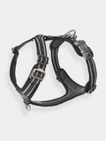 Harnais Noir pour chien