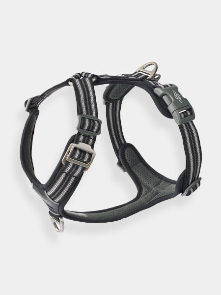 Harnais Noir pour chien