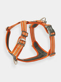 Harnais Orange pour chien