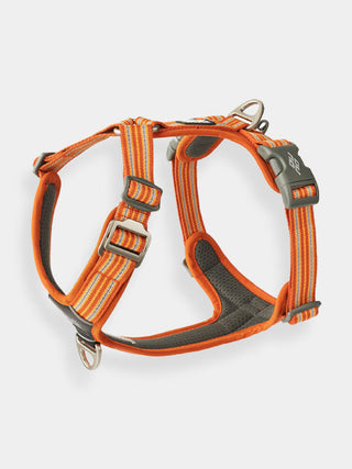 Harnais Orange pour chien
