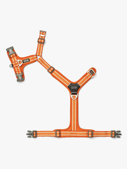 Harnais Orange pour chien - Comfort Walk Air 3.0 - DOG Copenhagen