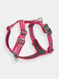 Harnais Rose pour chien