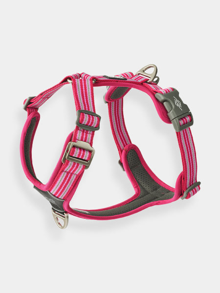 Harnais Rose pour chien - Comfort Walk Air 3.0 - DOG Copenhagen