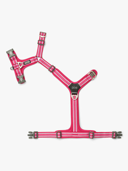 Harnais Rose pour chien - Comfort Walk Air 3.0 - DOG Copenhagen