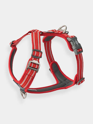 Harnais Rouge pour chien