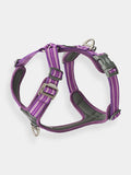 Harnais Violet pour chien