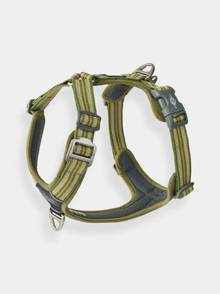 Harnais Vert pour chien