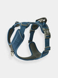 Harnais Bleu pour chien