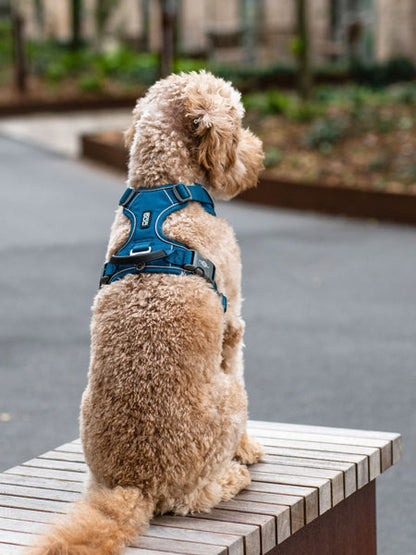 Harnais Bleu pour chien - Comfort Walk Pro 3.0 - DOG Copenhagen