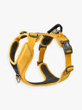 Harnais Lemon pour chien