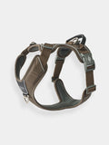 Harnais Marron pour chien