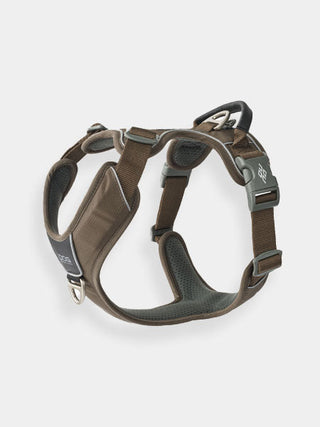 Harnais Marron pour chien