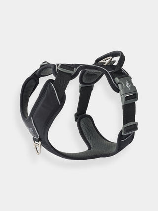 Harnais Noir pour chien