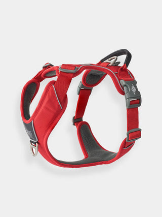 Harnais Rouge pour chien
