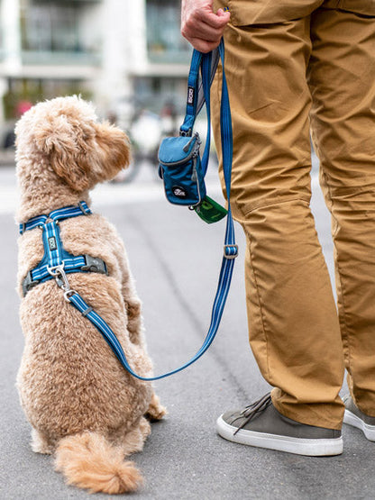 Laisse ajustable pour chien -  Urban Freestyle Bleu - Dog Copenhagen