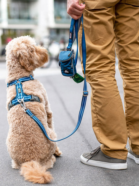 Laisse ajustable pour chien -  Urban Freestyle Bleu - Dog Copenhagen