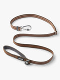 Laisse ajustable pour chien