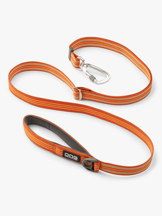 Laisse ajustable pour chien