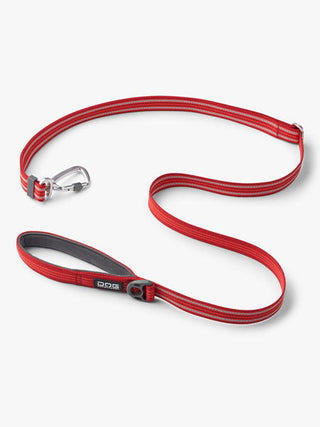 Laisse ajustable pour chien