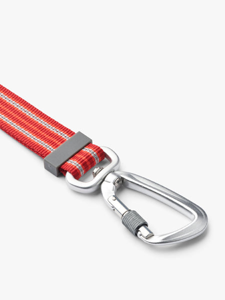 Laisse ajustable pour chien
