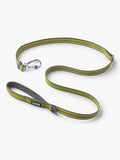 Laisse ajustable pour chien