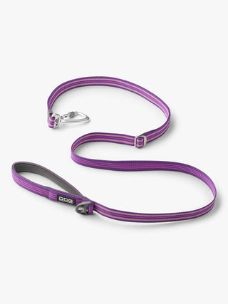 Laisse ajustable pour chien
