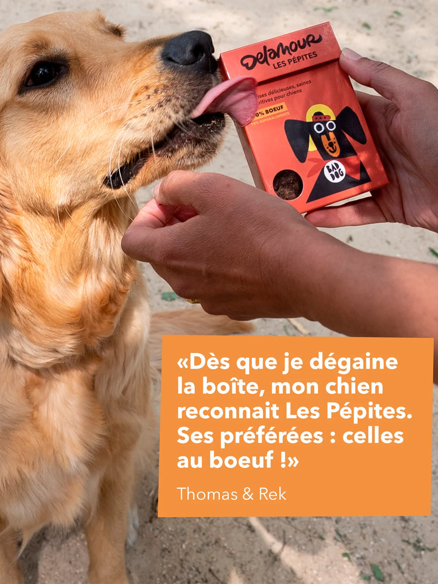 Friandises pour chien - Les Pépites au Boeuf 🐂 - Delamour