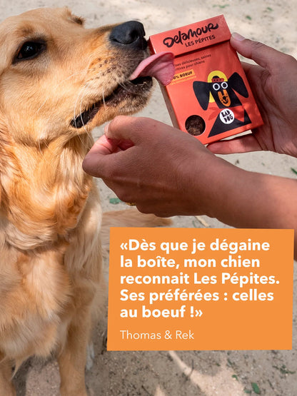 Friandises pour chien - Les Pépites au Boeuf 🐂 - Delamour