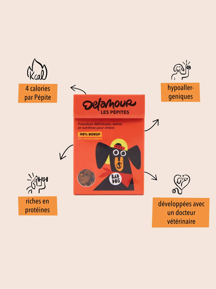 Friandises pour chien - Les Pépites au Boeuf 🐂 - Delamour