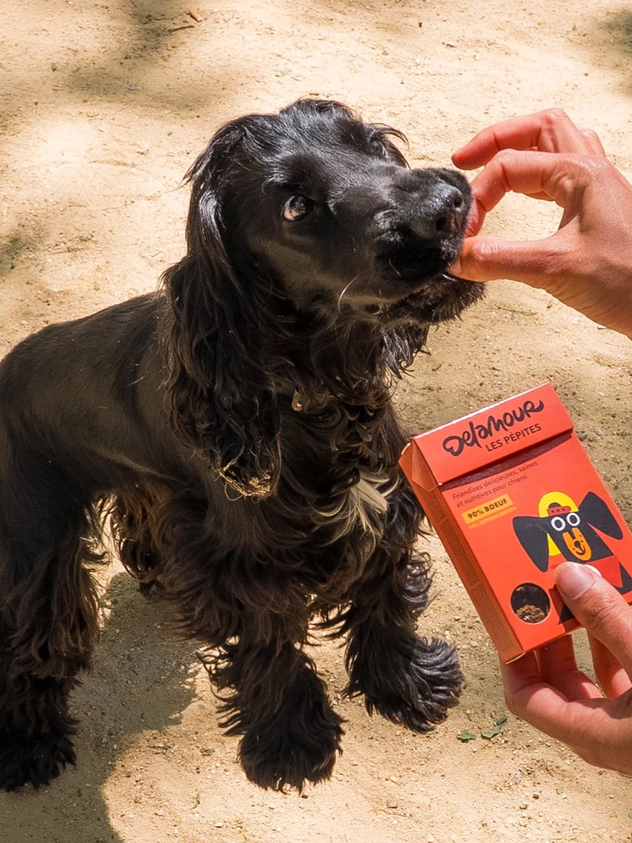 Friandises pour chien - Les Pépites au Boeuf 🐂 - Delamour