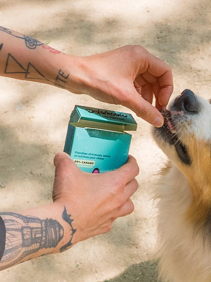 Friandises pour chien - Les Pépites au Canard 🦆 - Delamour