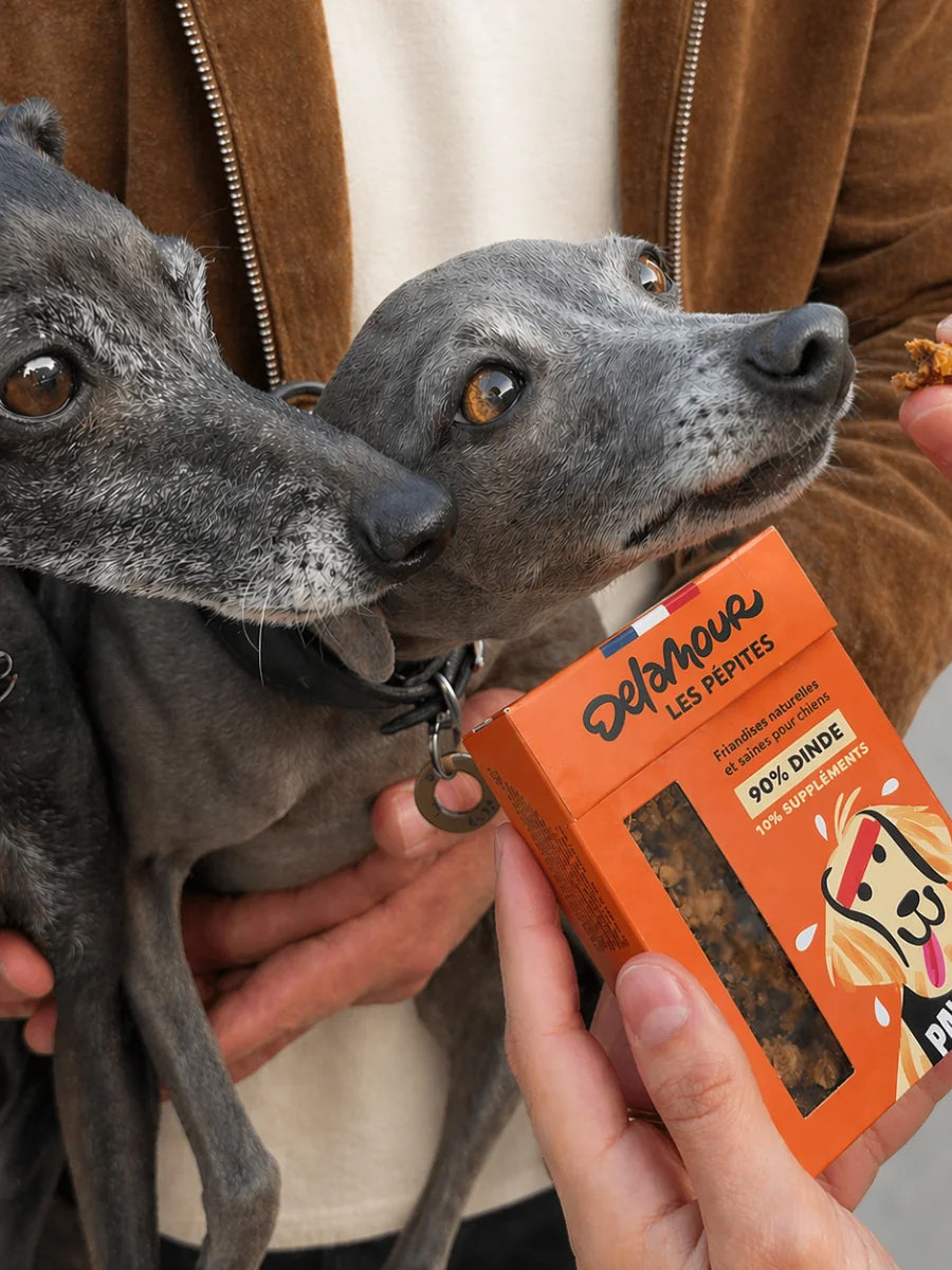 Friandises pour chien - Les Pépites à la Dinde 🦃 - Delamour