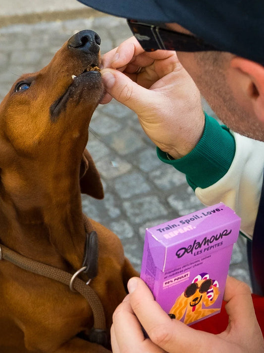 Friandises pour chien - Les Pépites au Poulet 🐓 - Delamour