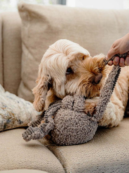 Peluche pour chien - Pieuvre Taupe - District 70