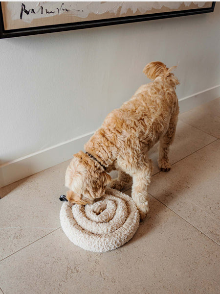 Jouet d'occupation pour chien - SWIRL Snuffle Mat Rose - District 70