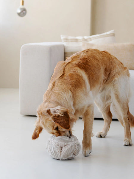 Jouet d'occupation pour chien - BOBBY Snuffle ball Taupe - District 70