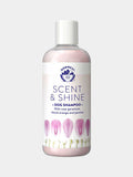 Shampoing brillance pour chien et chat - Géranium rose et orange sanguine - Formule naturelle à la camomille et à l’aloe vera