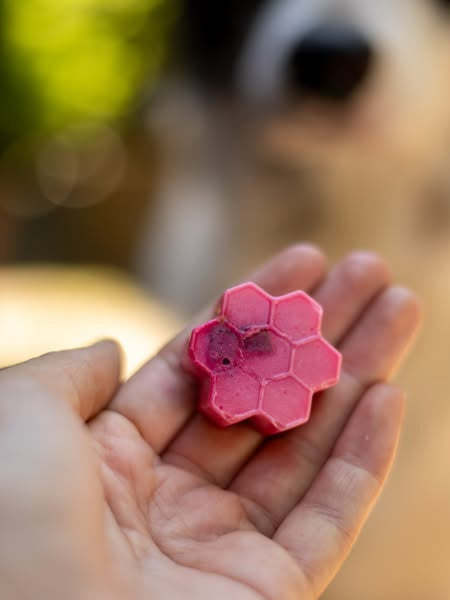 Moule en silicone pour friandises - Ours et Miel - EmeryPets