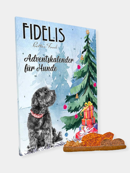 Calendrier de l'avent pour chien