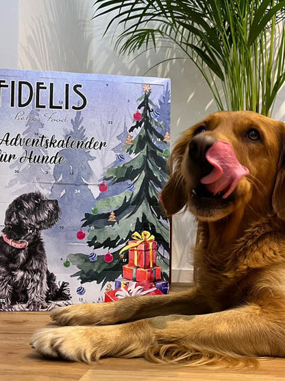 Calendrier de l'avent pour chien