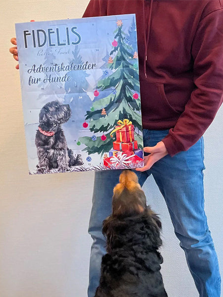 Calendrier de l'avent pour chien