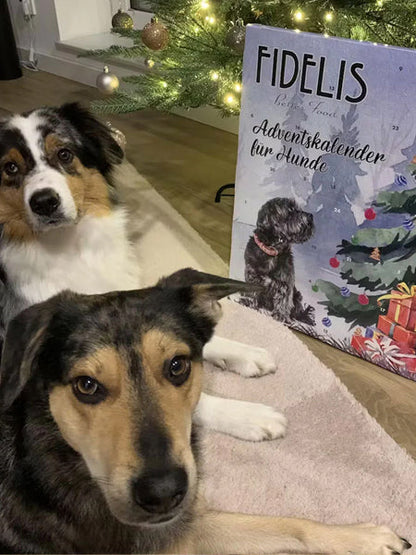 Calendrier de l'avent pour chien
