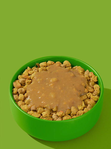 Garniture Smoothie pour chien