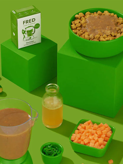 Garniture Smoothie pour chien