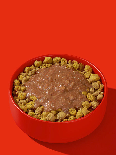 Topping Smoothie pour chien - Boeuf 🐂 - Fred & Felia