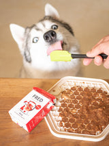 Garniture Smoothie pour chien