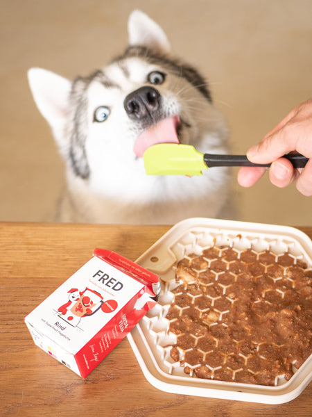 Topping Smoothie pour chien - Boeuf 🐂 - Fred & Felia