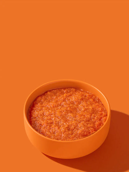 Garniture smoothie de carottes pour chien