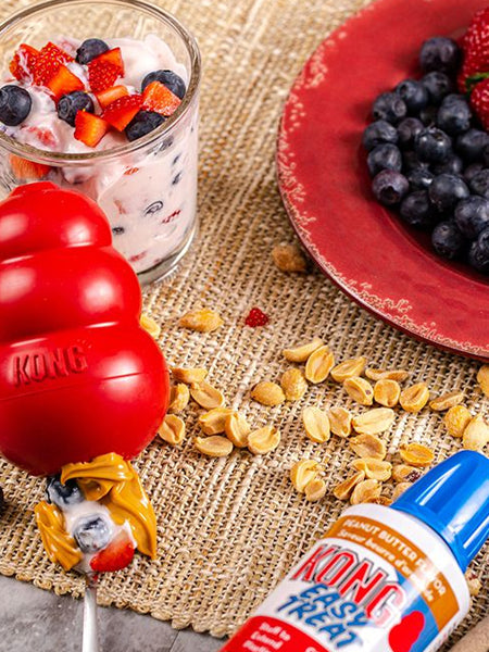 KONG Easy Treat Peanut Butter 🥜 pour chien - Beurre de cacahuète