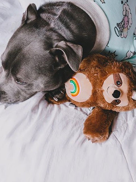 Peluche pour chien